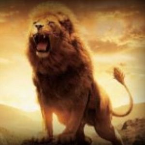 Meet your Posher, Mohammed